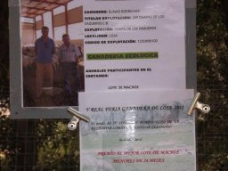 phoca_thumb_l_ganaderia premiada al mejor lote de machos